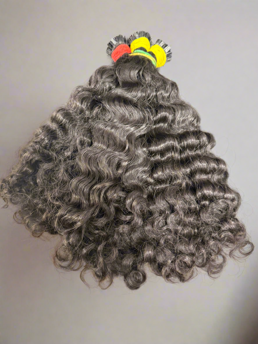Burmese Curly K TIPS